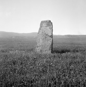 Cillchriosd standing stones, general view.