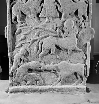 Back detail of Meigle no.2 Pictish cross slab on display in Meigle Museum.