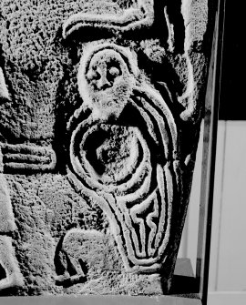 Back detail of Inchbraoch Pictish cross slab.