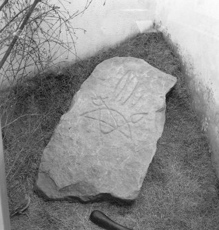 View of face of Wester Balblair Pictish symbol stone.
