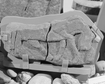 View of Drainie no. 3 cross slab fragment on display in Elgin Museum.