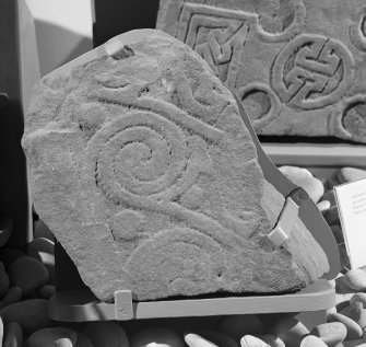 View of Drainie no.24 cross slab fragment on display in Elgin Museum.