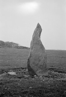 Craigberoch, Bute, cup-marked standing stone from WSW.