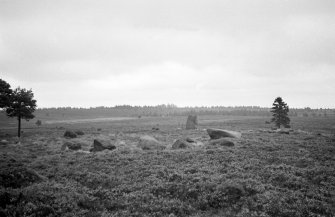 General view of standing stone and stone settings on moor above Foulis Wester.