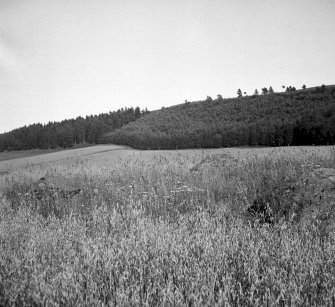 Craighall. General view of stone circle.