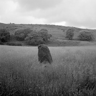 Craigneich standing stone.