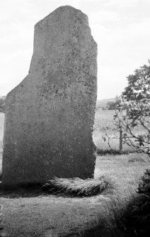 Macbeth's Stone, Belmont. View of standing stone from NW.