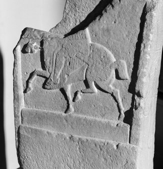 View of reverse of Meigle no.5 Pictish cross slab on display in Meigle Museum.