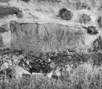 View of Pictish symbol stone set into church wall at Clatt.