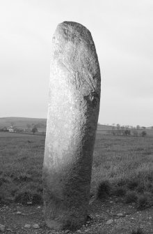 View of face of Newton of Collessie Pictish symbol stone.