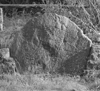 View of face of Tillytarmont Pictish symbol stone.