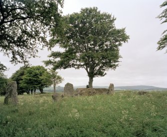 View of recumbent and flanking stones from North-East.