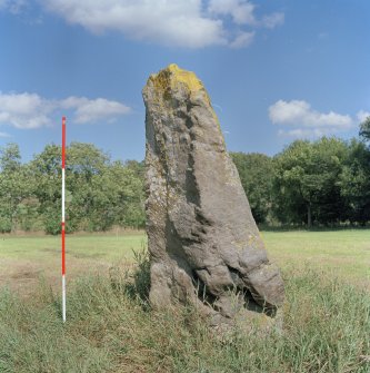 View from South-West. (2m scale in 0.5m divisions)