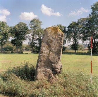 View from West. (2m scale in 0.5m divisions)