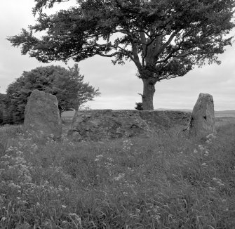 View of recumbent and flanking stones from North-East.