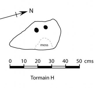 Tormain H