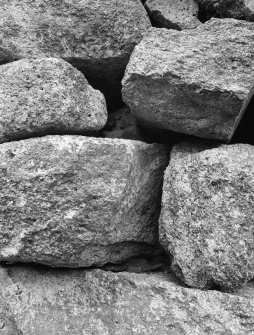 Blackhouse C.
North Building, detail of fragment of cattle dung in wall.