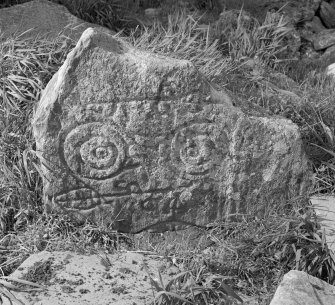 View of face of Congash no.2 Pictish symbol stone, Parc-an-Caipel.