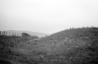 Greenan Castle, outer ditch from N.