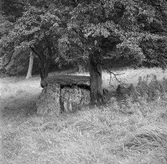 Haylee [Haylie] Megalithic Cist.