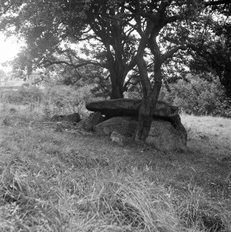 Haylee [Haylie] Megalithic Cist.