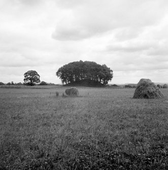 Loak, standing stone and Court Hill barrow.