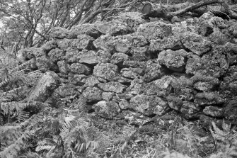 Dun Mor, fort, view of walling.