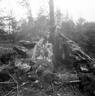 Ardmarnock cairn from NE.