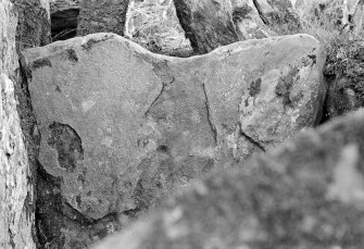 Ardmarnock Chambered Cairn. End slab of chamber from SSW.