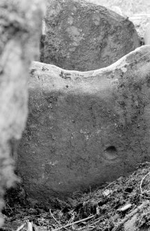 Ardmarnock Chambered Cairn. End slab of chamber from NNE showing cup and partial ring.