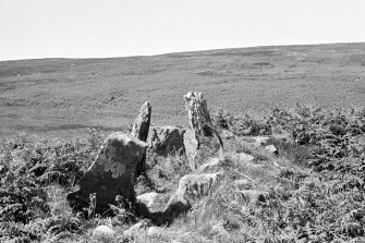Gort na h-Ulaidhe. 1st tranverse cist from S.