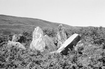 Gort na h-Ulaidhe. 1st transverse cist from SW.