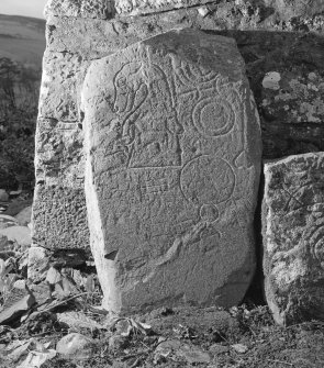 View of face of Rhynie no. 5 Pictish symbol stone.