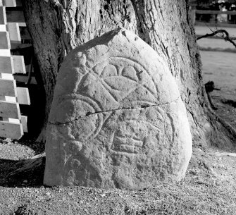 View of face of the Daviot Pictish symbol stone in the garden of Mounie Castle.