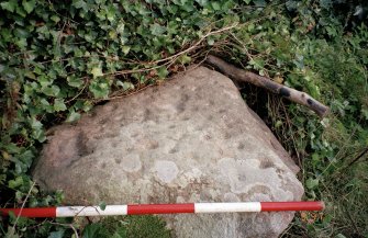 View of upper face of cup-marked boulder; photographic scale in 200mm divisions