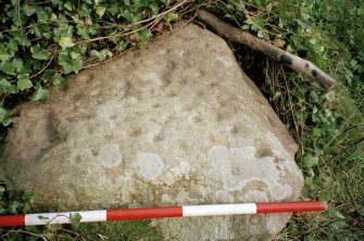 View of upper face of cup-marked boulder; photographic scale in 200mm divisions