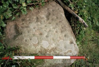 View of upper face of cup-marked boulder; photographic scale in 200mm divisions