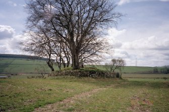 View of cairn from N