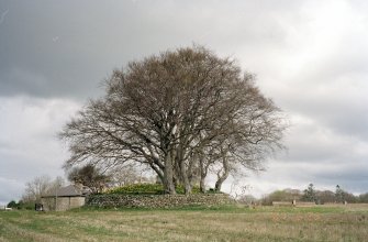 View of cairn from S