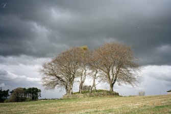 View of cairn from ESE