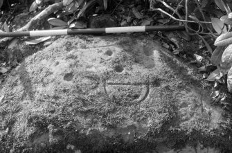 Cupmarked boulder reused as a boundary stone