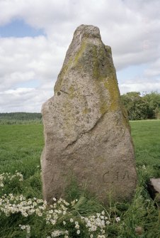 View from SSW of the ENE stone