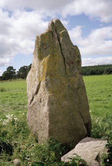 View from SE of the ENE stone