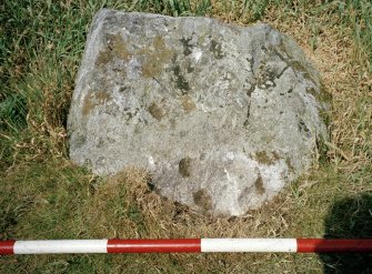 View of cupmarked stone from SE; scale in 200mm divisions