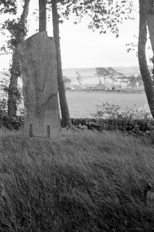 The Keillor Pictish symbol stone from the south-west
