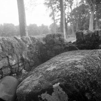 General view of Wallace's Stone.