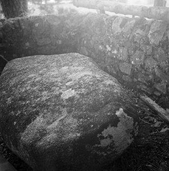 General view of Wallace's Stone.