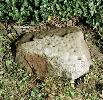 View of cup-marked stone.