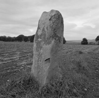 The South-West stone viewed from South-East.