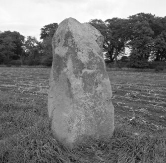 The South-West stone viewed from South-West.